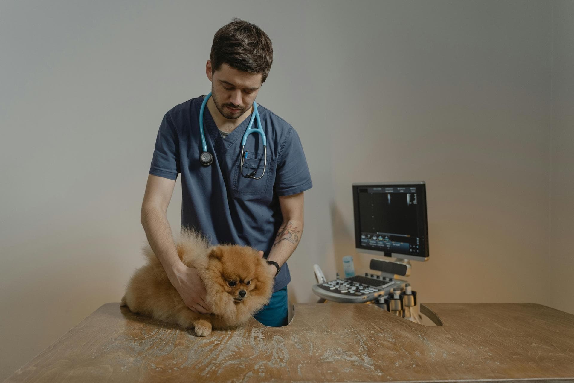Best Vets in Albion